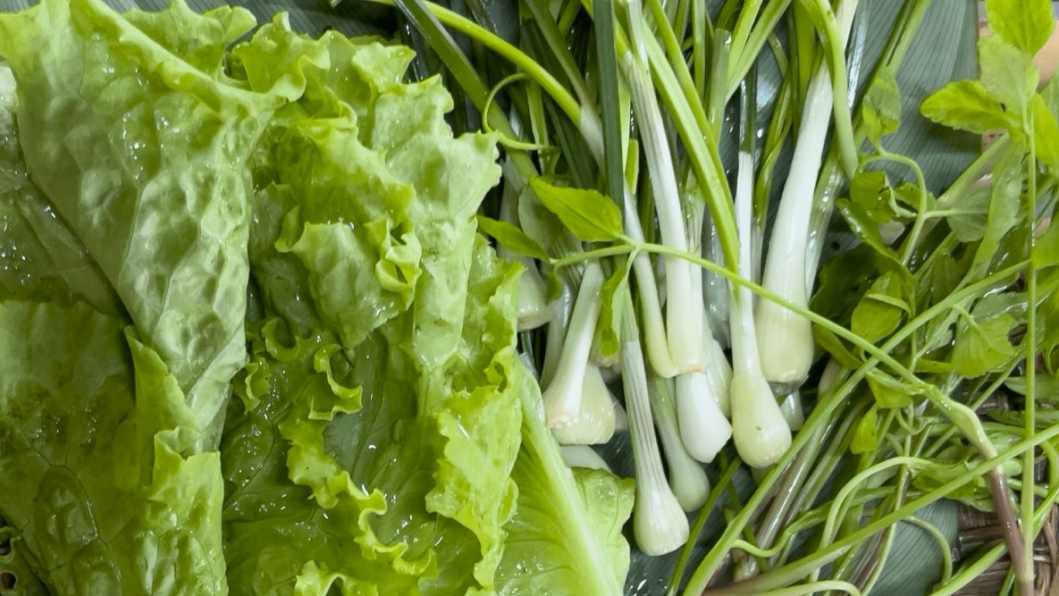Edible Forests, Sustainable Futures